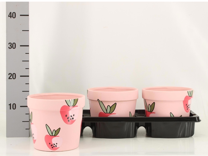 <h4>HARDWARE H%</h4>