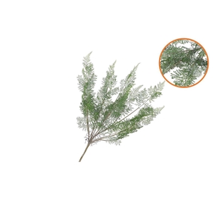 Silk Fern Forest Branch Green Snowy 76cm Nm