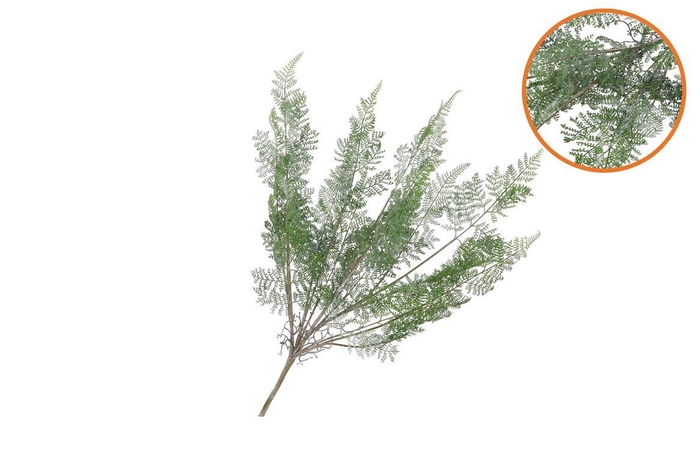 <h4>Silk Fern Forest Branch Green Snowy 76cm</h4>