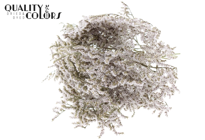 <h4>Limonium Tataricum per bunch Natural</h4>