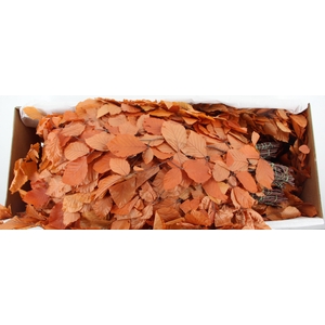 PF BEECH LEAFS ORANGE BS 150GR
