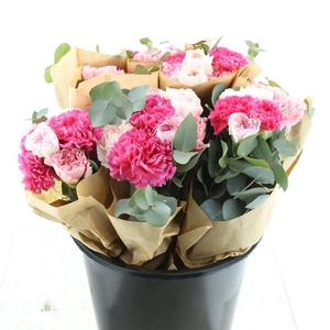 Bouquet Carnations Euc