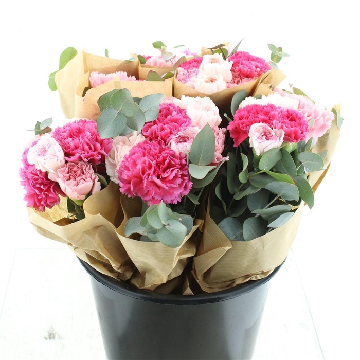 <h4>Bouquet Carnations Euc</h4>