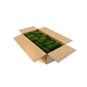 Hair Moss Gepreserveerd Bulk Ca. 1 M2