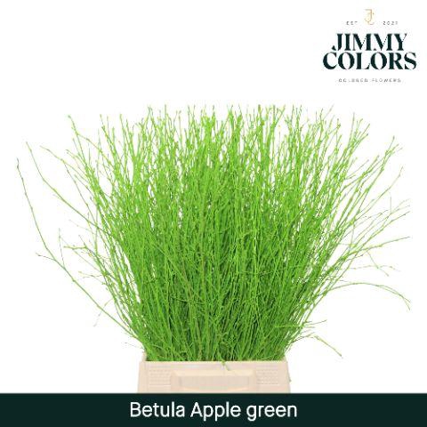 <h4>Betula L60 Apple green</h4>