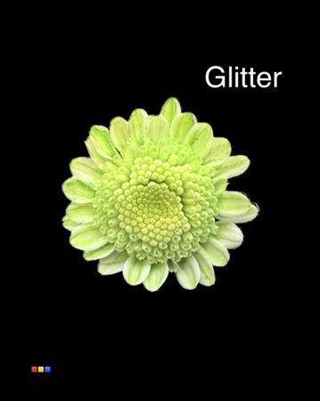 <h4>Chr T Stallion Dusty Green + Glit Bio</h4>