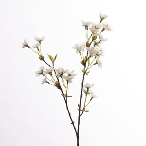 Af Pear Blossom L74cm White