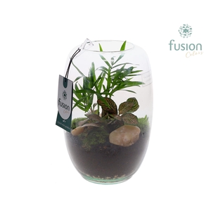 Green Bottle Isabella Small met arrangement