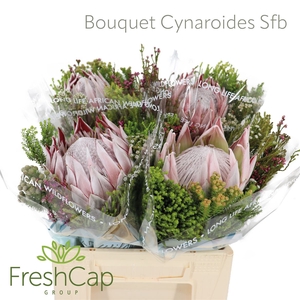 Bouquet Cynaroides Sfb