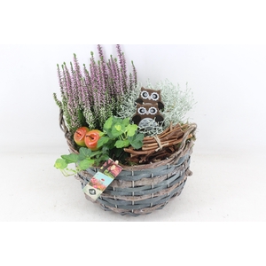 arr4 Outdoor JS - Mand rond Delhi