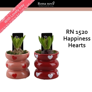 1520 - Happiness Hearts (Hyacint)
