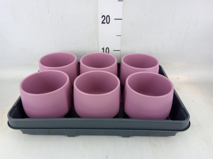 <h4>Pot   ...Keramische H%</h4>