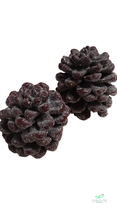 PINECONE WAX SUGARED WINE RED 2PCS