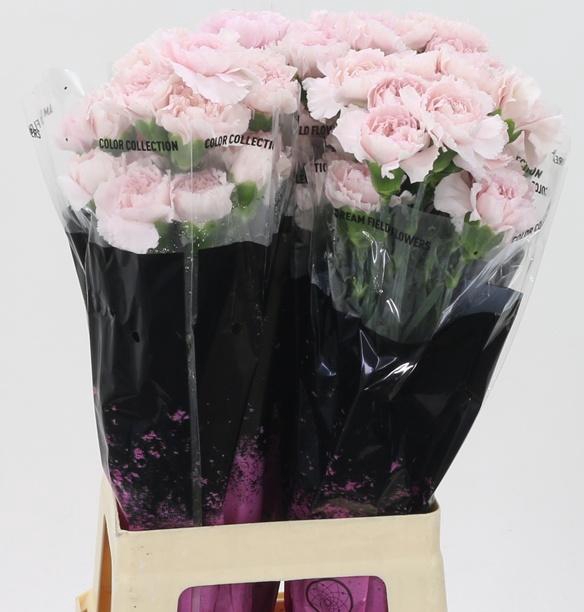 <h4>DI ST BRIDAL DAMASCU</h4>