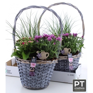 ARR TUINPLANTEN
