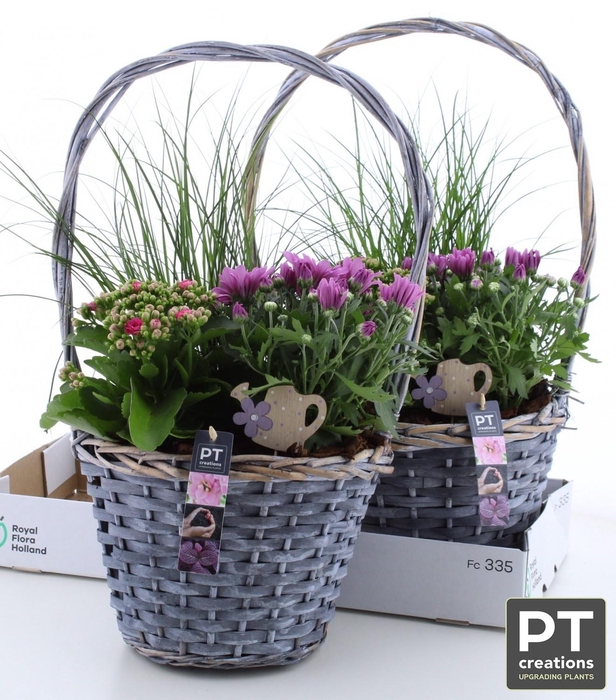 <h4>ARR TUINPLANTEN</h4>