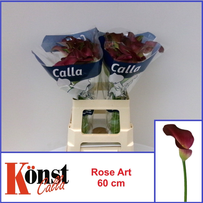 <h4>ZANT ROSE ART</h4>