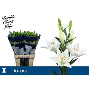 Li La Doroso