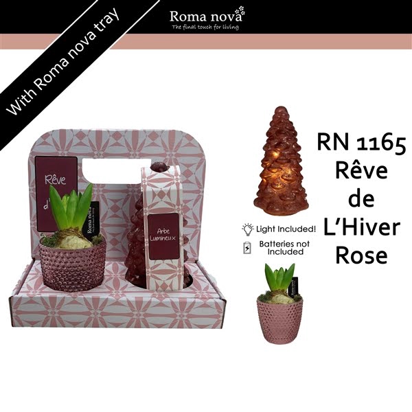 <h4>1165 - Rêve d’hiver Rose (Hyacint)</h4>