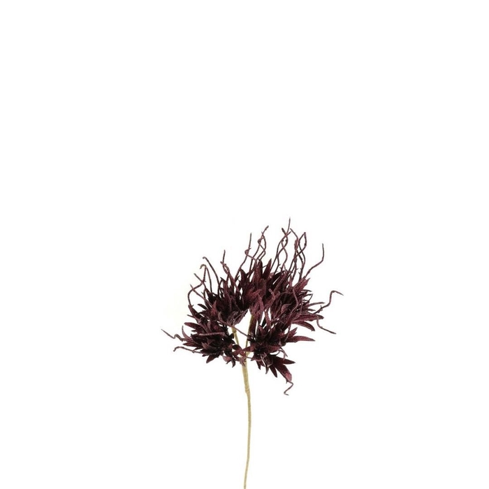 <h4>Artificial flowers Carnation Spider 55cm</h4>