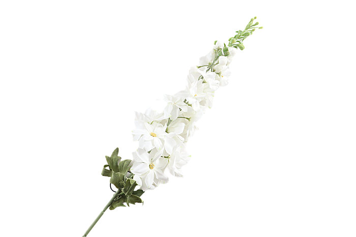 <h4>Delphinium White FL440044WHI</h4>