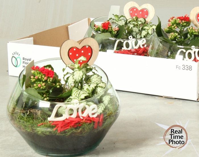 <h4>ARR KAMERPL</h4>