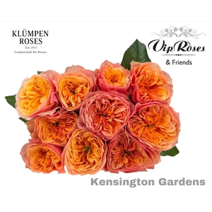 Rs gr Kensin Gardens