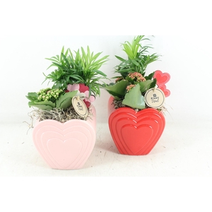 arr2 PL - Ker. hart pot mix 250/6 - roze/rood