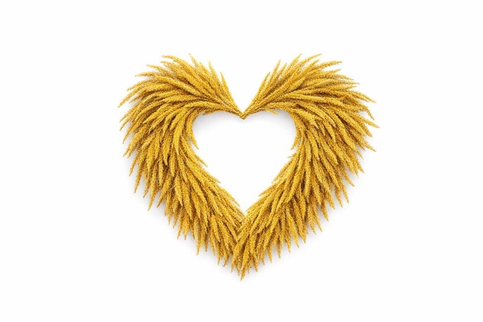 <h4>Wr Silkworm Heart Shape White 30cm</h4>
