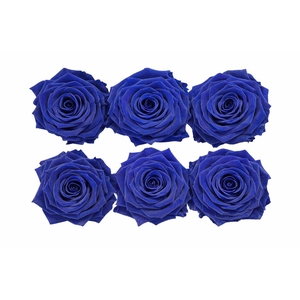 Ro Pres Classic Blue