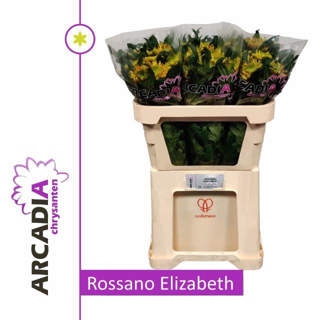 CHR G ROSS ELIZABETH