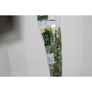 ANASTASIA DARK GREEN 080 CM VERDE