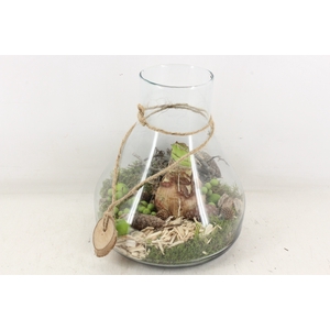 arr4 Amaryllis MB - Glas paris L 285/3