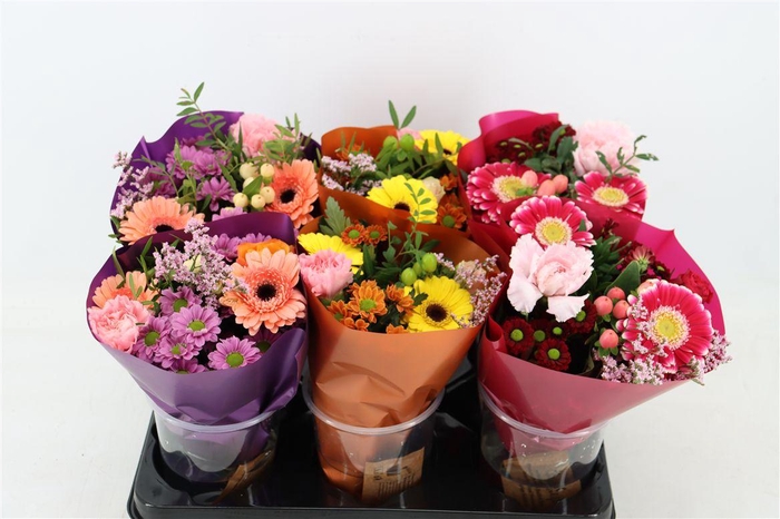 <h4>Bqt Sixpack11st</h4>