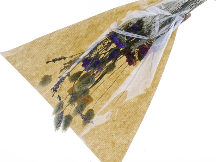 <h4>DF Bouquet Sabine Pink Cv</h4>