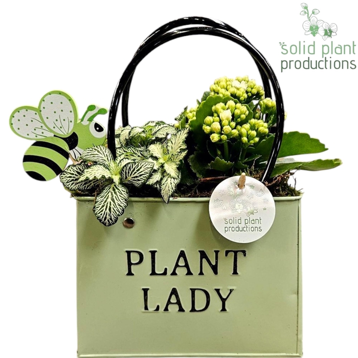 <h4>ZKE001 Green Bag Large</h4>