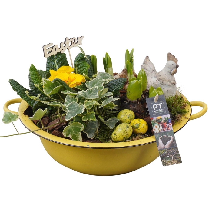 <h4>Arr. Tuinplanten L%</h4>