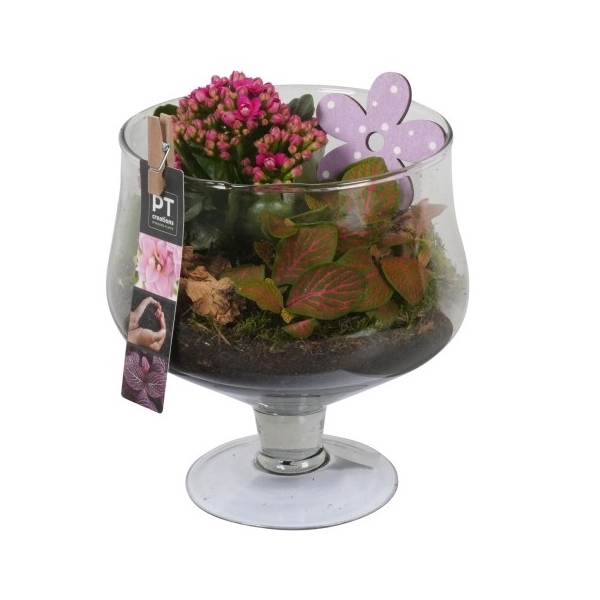 <h4>PTIG6859 Arrangement Indoor in cognac glas</h4>