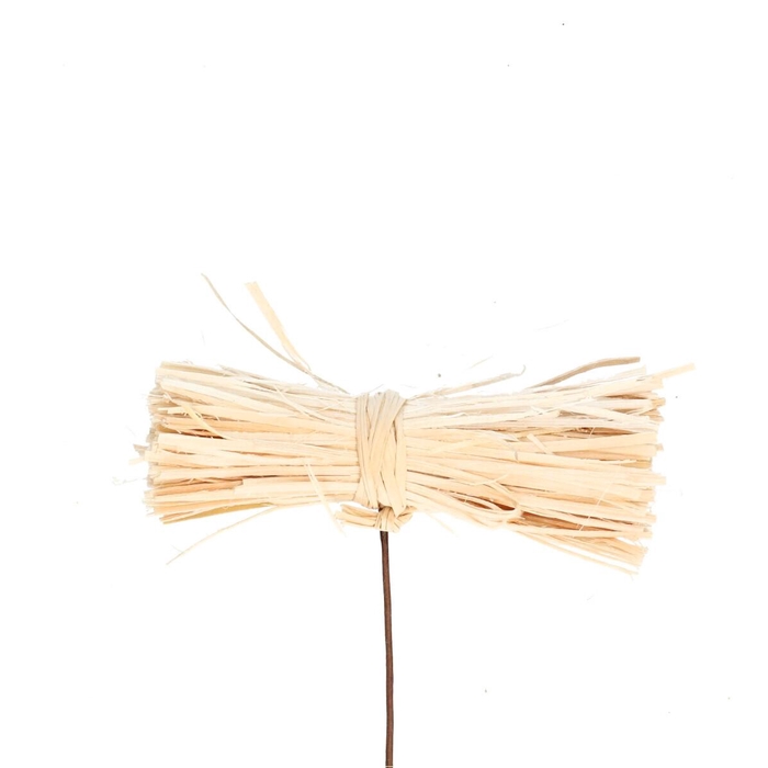 <h4>Bijsteker 10cm Twijgbundel 9*3cm</h4>