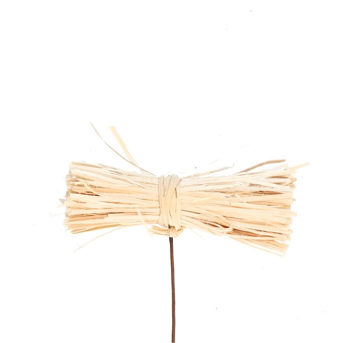 <h4>10cm Twijgbundel 9*3cm</h4>