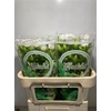 Campanula Champ Whit