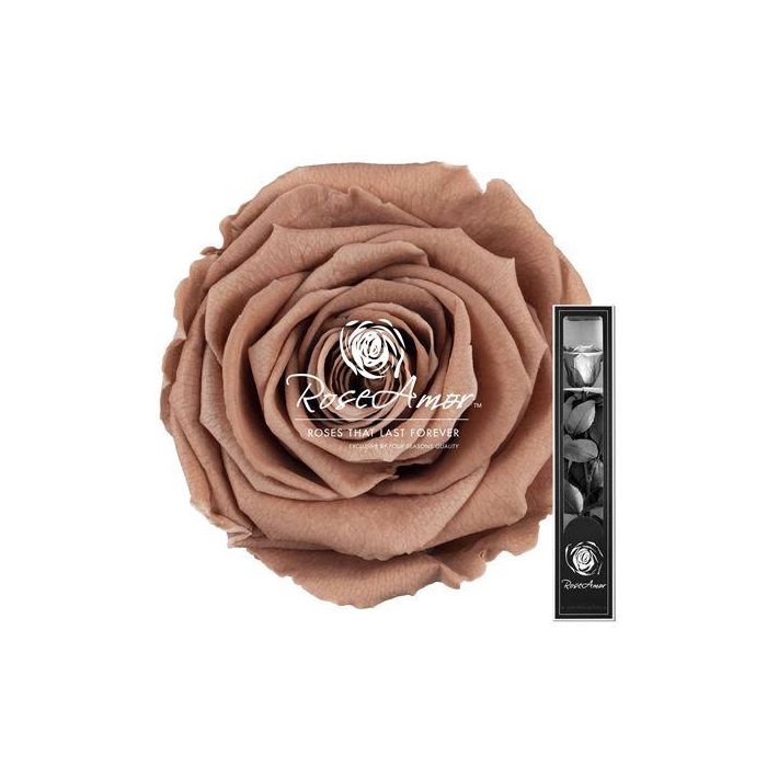 <h4>30cm Stem Cho89</h4>