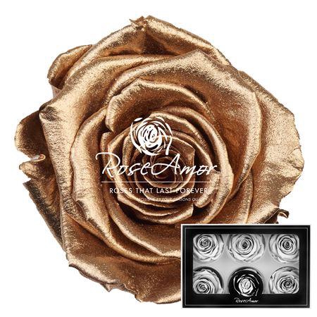 <h4>Lplus Metallic Gold</h4>