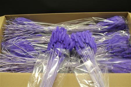 <h4>Lagurus Violet X30</h4>