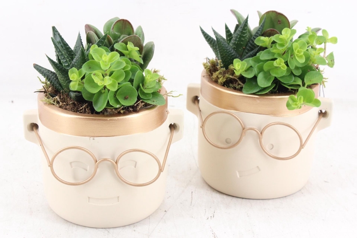 <h4>arr3 SN - Ker. pot gold bril M</h4>