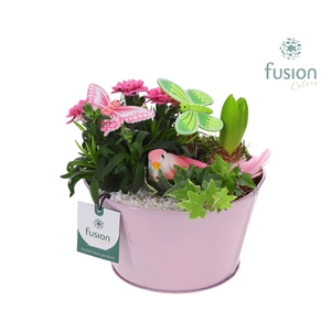 Zink schaal voorjaar div.kleuren met arrangement