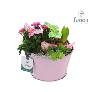 Zink schaal voorjaar div.kleuren met arrangement