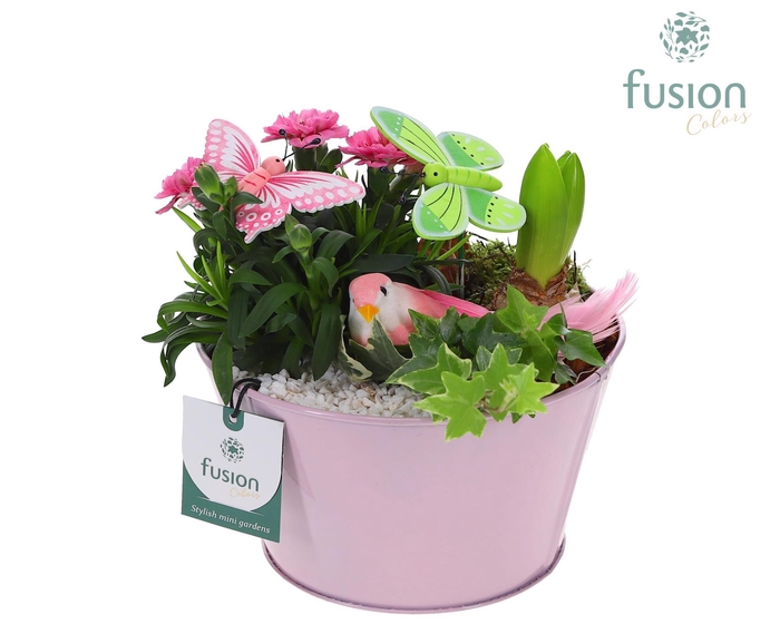 <h4>Schaal zink Voorjaar div. kleuren met arrangement</h4>