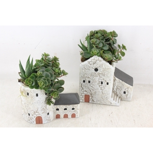 arr3 SN - Casa de la Torre x8