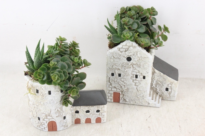 <h4>arr3 SN - Casa de la Torre x8</h4>